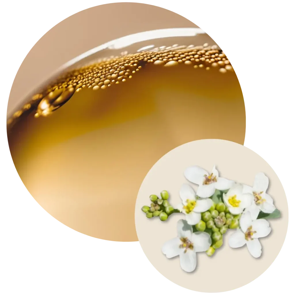 Beneficios del aceite de abisinia