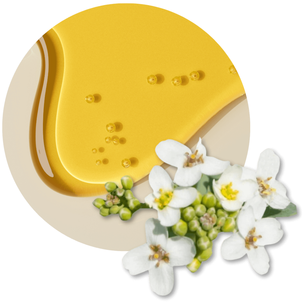 Beneficios del aceite de abisinia