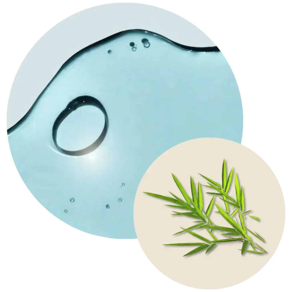 Beneficios del extracto de bambú